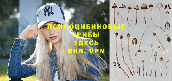 спиды Кукмор