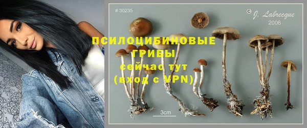 спиды Кукмор